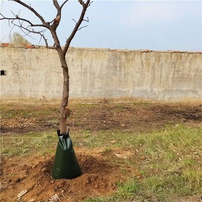 Donkergroen, langzaam loslaten, waterzak voor bomen 250-3500 gram