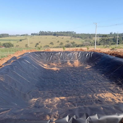 GB/ASTM GRI-GM13 Standaard 0,5 mm Geomembrane Fish Tank Liner in Contemporary Design