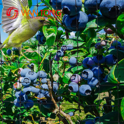 Snoeidienst Vogelnetten voor planten en fruitbomen Bescherming tegen plagen