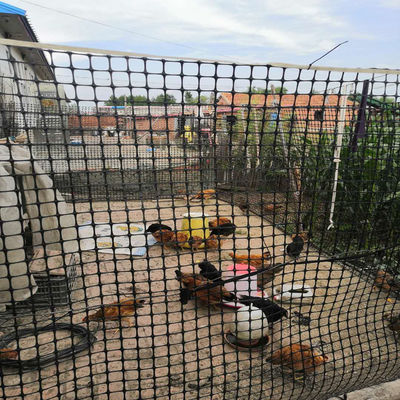15-60KN Treksterkte PP Bi-axiale geogrids van kunststof voor spoorwegen in magazijnvoorraad