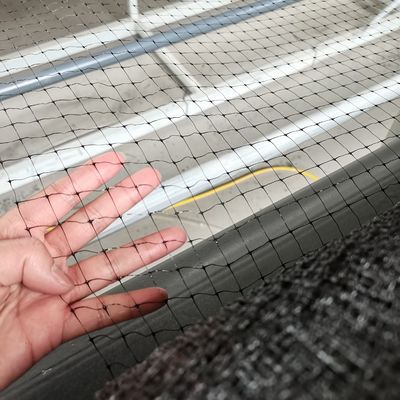 12 gram PP-plastic net mesh voor kippen anti-vogel net in tuinboomgaard en wijngaard