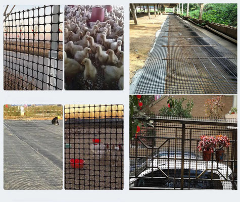 Wegbouwmateriaal Polypropyleen Biaxiaal Geogrid met treksterkte van 15-60KN