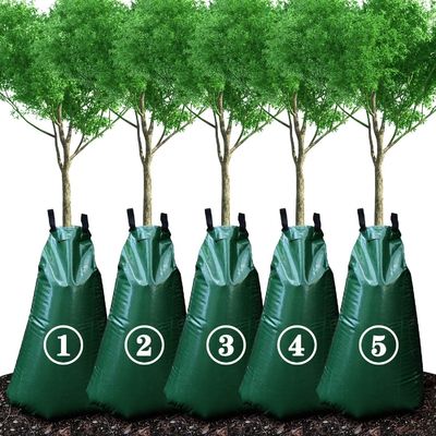 Automatische druppelbewatering voor bomen