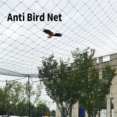 Anti-vogel netten voor kippen in tuin boomgaard wijngaard BOP PP Plastic 2cm mesh