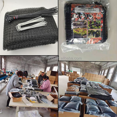 CE ISO gecertificeerd BOP Stretched PP Net Long Life Duurzaam Anti Bird Netting Plastic Mesh voor tuinveiligheid