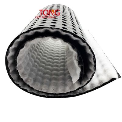 10 mm 20 mm 30 mm Drainage Cell Board Plastic Sheet Dimple Drain Plate Mat voor Landschap