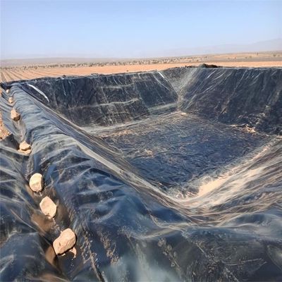Chinese design stijl water vijver Plastic polyethyleen geomembrane liner voor vis vijver