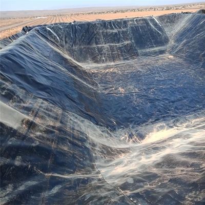 Chinese design stijl water vijver Plastic polyethyleen geomembrane liner voor vis vijver