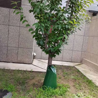 Groen 2 verpakkingen 15 gallon langzaam loslaten zelfdruppelbewatering Boom waterzak CE/ISO goedgekeurd