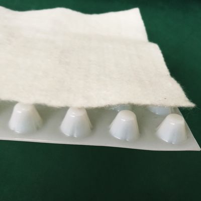 Hoteeldrainingsbord met geotextiel HDPE-composit met holtes CE/ISO/ISO14001 gecertificeerd