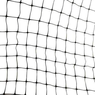 Max 4m breedte aangepaste lengte 13GSM Bop Stretched PP Net voor tuin vogel bescherming