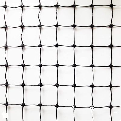 1.5cm Mesh 27gsm PP Anti Bird Net voor druiven of fruitbomen aangepaste lengte