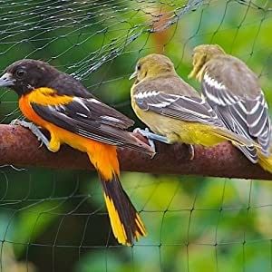 CE ISO-gecertificeerd zwaar werkend anti-vogelnet gaasnet voor tuinkasten