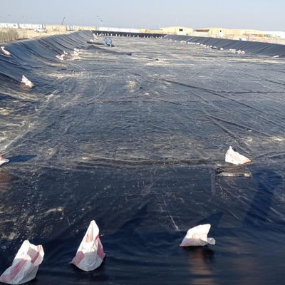 Geomembrane Biodigester van hedendaagse stijl HDPE Plastic Sheet Dam Cover and Protection