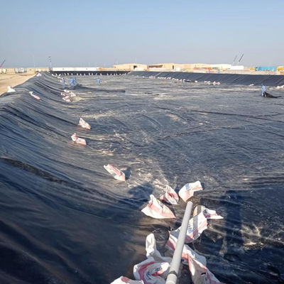 2m-8m breedte HDPE damliners 1mm geomembrane liner voor aquacultuur vishouderij verkoop