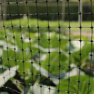 Persoonlijke lengte PP Landbouw Post Tuinbouw Bop Tuin Net Deer Rabbit Mesh hek CE ISO
