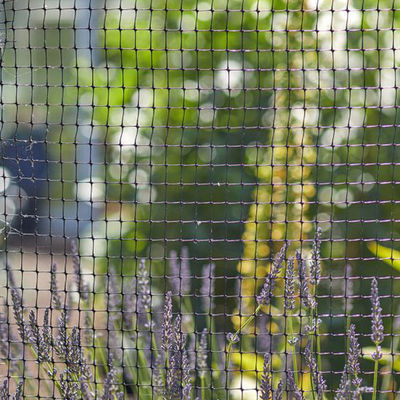 Persoonlijke lengte PP Landbouw Post Tuinbouw Bop Tuin Net Deer Rabbit Mesh hek CE ISO