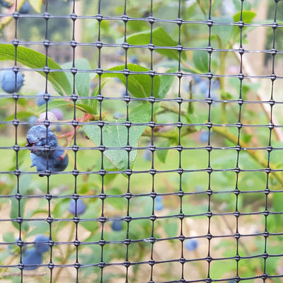 Persoonlijke lengte PP Landbouw Post Tuinbouw Bop Tuin Net Deer Rabbit Mesh hek CE ISO
