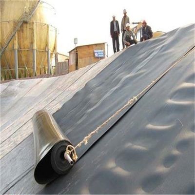 Geomembrane-liner van 1 mm op maat voor stortplaatsbiodigester en vis- of garnalenvijver