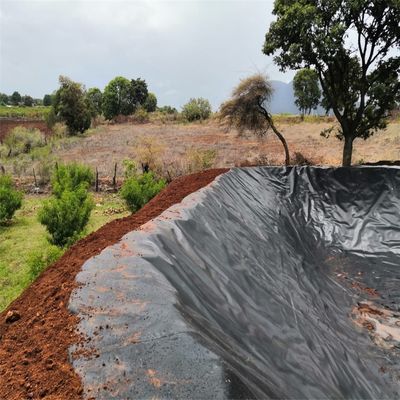 Chinese design stijl HDPE geomembrane voor aquacultuur visboerderij dam stortplaats vijver Liner