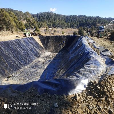 Chinese design stijl HDPE geomembrane voor aquacultuur visboerderij dam stortplaats vijver Liner
