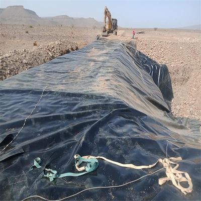Chinese design stijl HDPE geomembrane voor aquacultuur visboerderij dam stortplaats vijver Liner