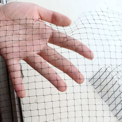 Persoonlijke kleur UV-behandelde PP anti vogel net voor kippenhouderij en tuin vis vijver