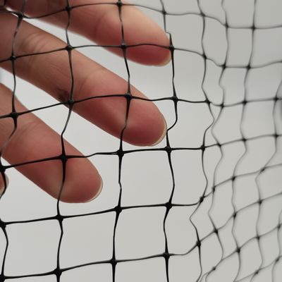Persoonlijke kleur UV-behandelde PP anti vogel net voor kippenhouderij en tuin vis vijver