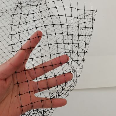 Persoonlijke kleur UV-behandelde PP anti vogel net voor kippenhouderij en tuin vis vijver