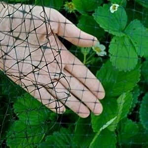 Persoonlijke kleur UV-behandelde PP anti vogel net voor kippenhouderij en tuin vis vijver