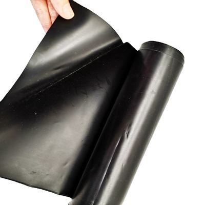 Zwart HDPE-geomembraan voor visdampoelvoering in Chinese ontwerpstijl en 0,1-4 mm