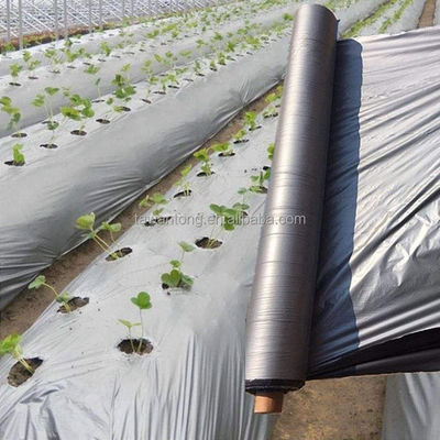 Zilveren kunststofmulchfolie voor de productie van tomaten en aardappelen