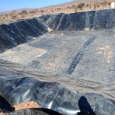 HDPE LDPE LLDPE PVC Geomembrane Liner Pond Voor Fish Shrimp Tank In Indonesië