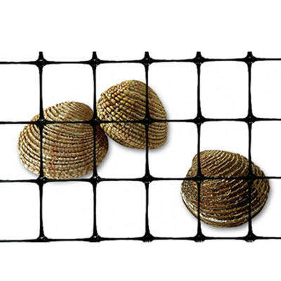 40-40 kn PP Biaksiale Plastic Geogrid voor wegbouw en funderingsversterking