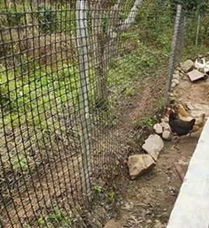 40-40 kn PP Biaksiale Plastic Geogrid voor wegbouw en funderingsversterking