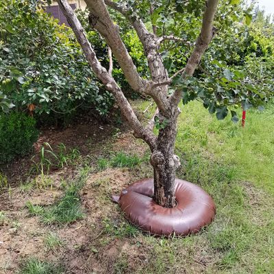 15/20 Gallon PVC-waterzak voor bomen De ultieme oplossing voor nieuw geplantte bomen