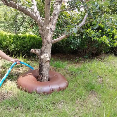 15/20 Gallon PVC-waterzak voor bomen De ultieme oplossing voor nieuw geplantte bomen