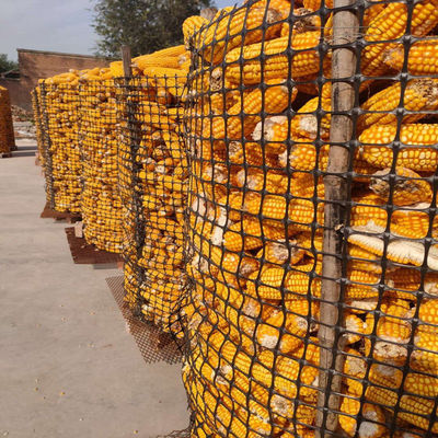PP Biaxial Geogrid 40kn voor wegversterking Eliteverkoop Zwart Training Road Geo Grids