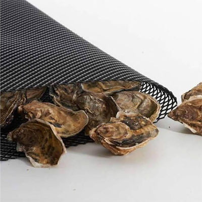 50/50kn PP Biaksiale Plastic Raster Perfect voor bodemversterking in de wegbouw