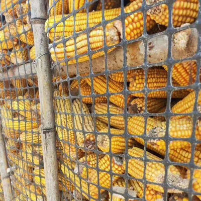 50-100m Plastic PP Biaxial Geogrid Perfect voor bouwwerkzaamheden 30/30kn