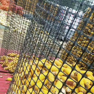 1-6 m breedte Biaxiaal PP polypropyleen geogrid composiet geotextiel voor wegbasis