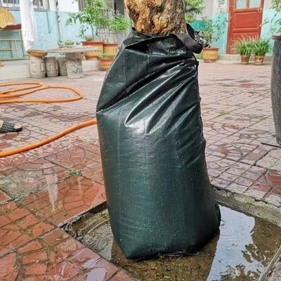 20 Gallon Slow Release Donkergroen PE PVC Boom waterzak voor effectieve irrigatie