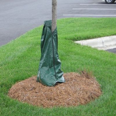 75L druppelbewateringspakken voor nieuw geplantte of gevestigde bomen